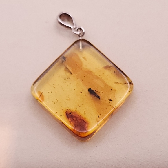 Baltic Amber pendant with insect inclusion - Picture 2 of 5